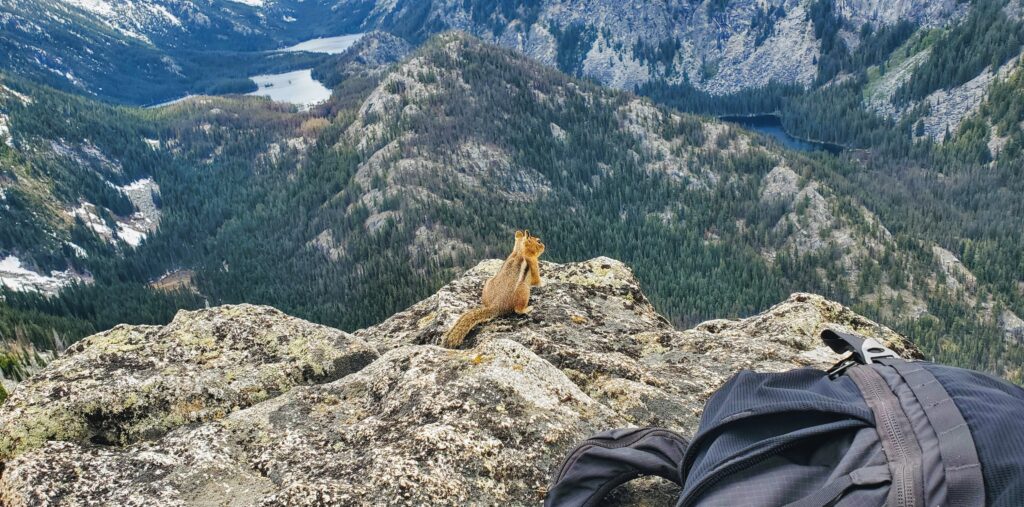 A squirrel sits on a rocky ledge, overlooking a vast landscape of mountains and forests, with a backpack in the foreground.