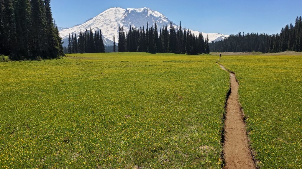 Snow-capped mountain rises in the background above a vibrant yellow and green meadow, with a winding dirt path leading into the landscape.