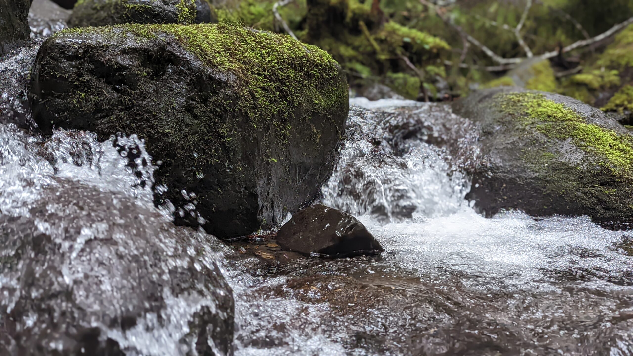 Clear water flows over moss-covered rocks in a tranquil stream, highlighting the serene beauty of nature. This image emphasizes the peacefulness of the outdoors.