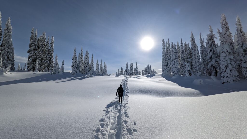 A person walks through deep, untouched snow in a winter landscape, surrounded by snow-covered trees under a bright sun.